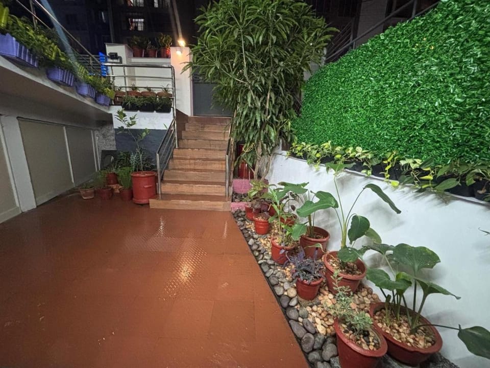 Night, Garden, Garden, Garden view
