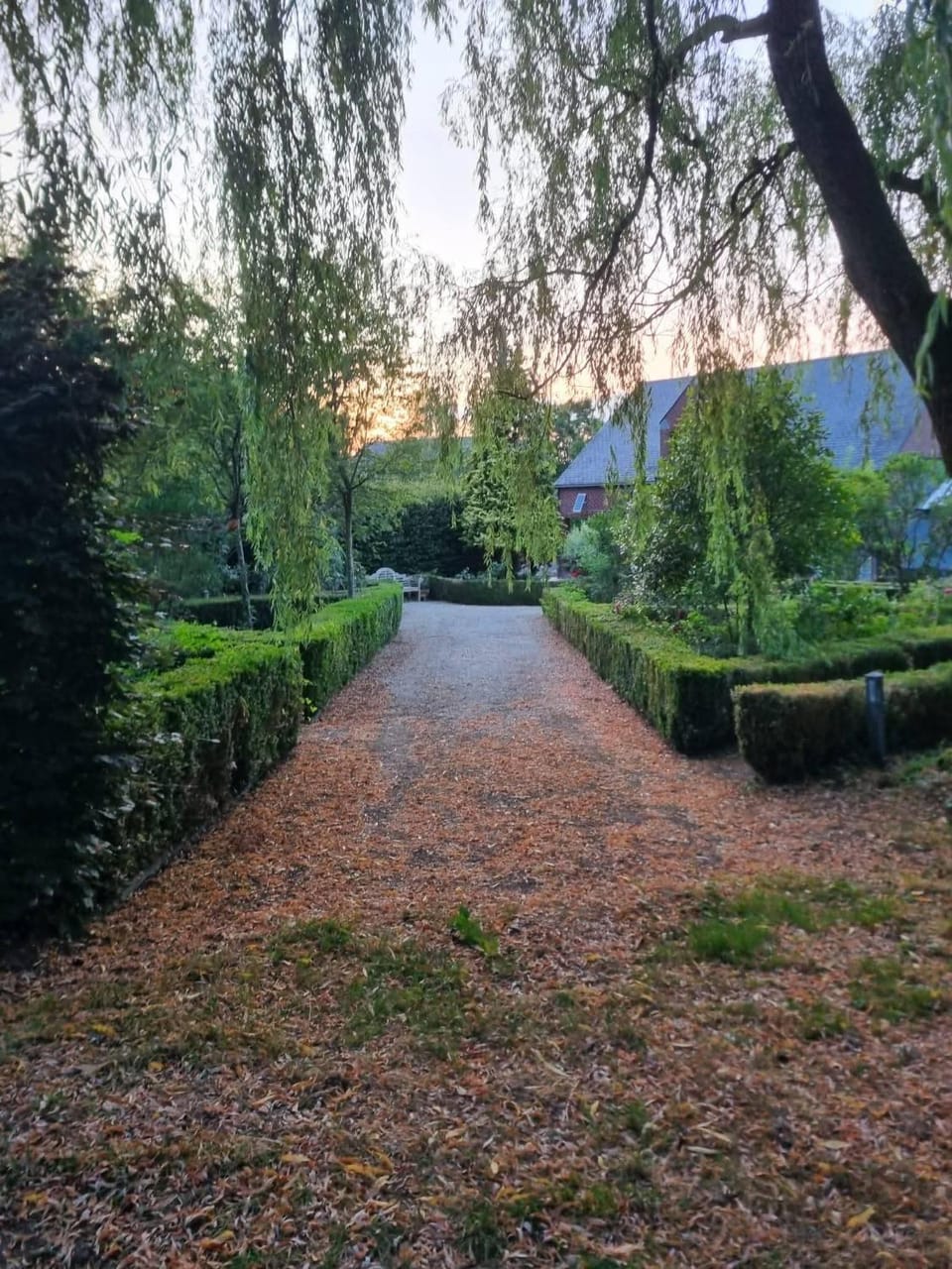 Patio, Day, Natural landscape, Garden