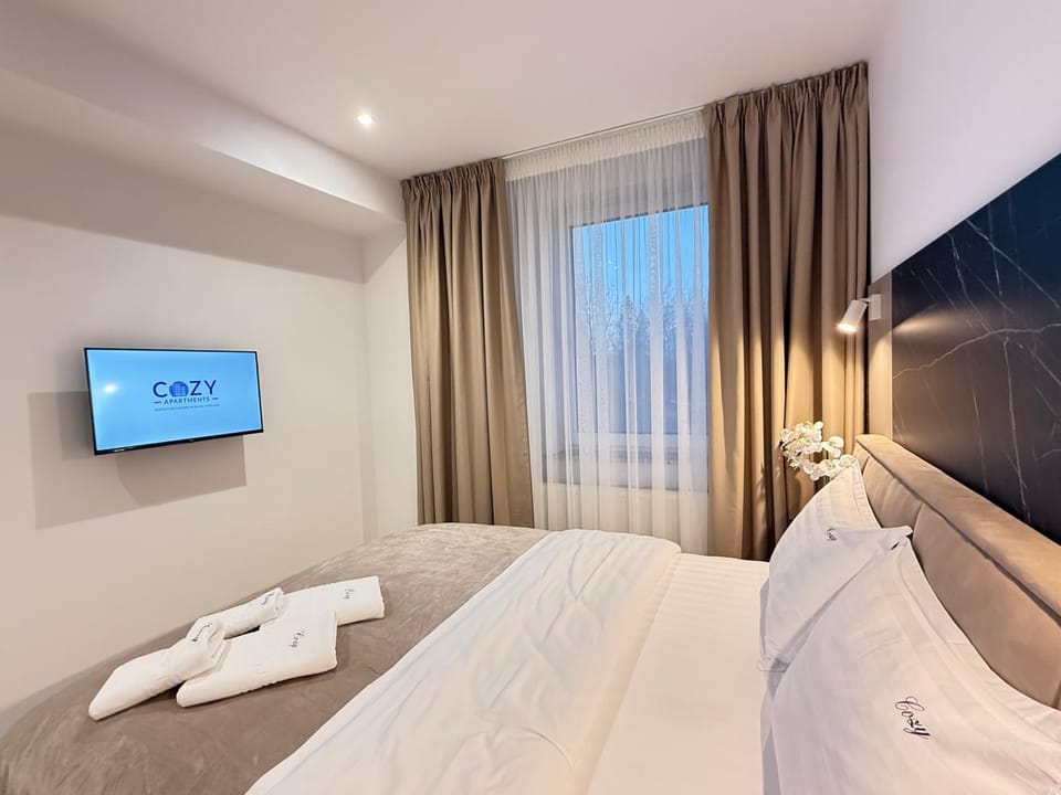 Cozy Urban Living In Iasi City Free Parking Apartment in Romania