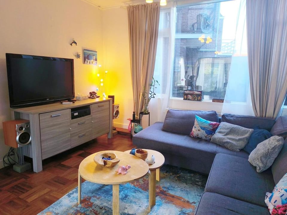 Communal lounge/ TV room, TV and multimedia