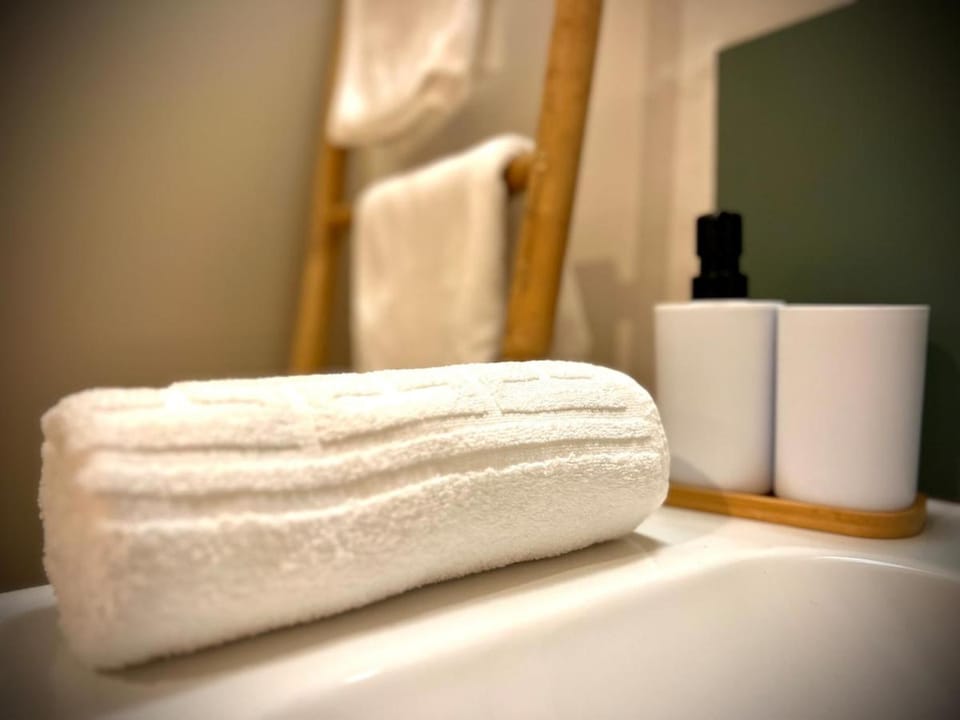 Le Bain de Léa, au coeur de la ville Apartment in Carcassonne