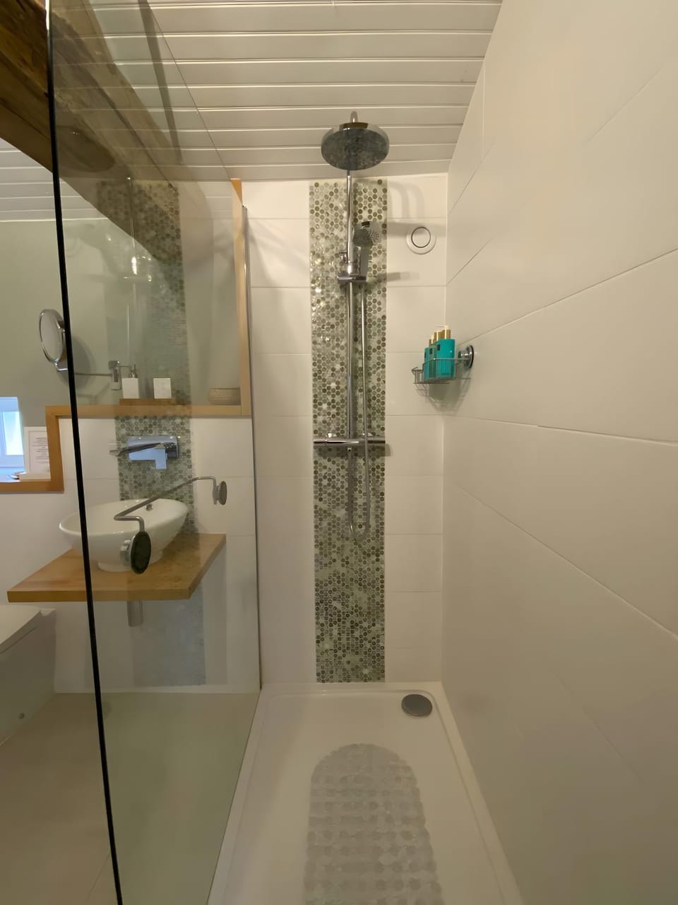 Bathroom, Living room