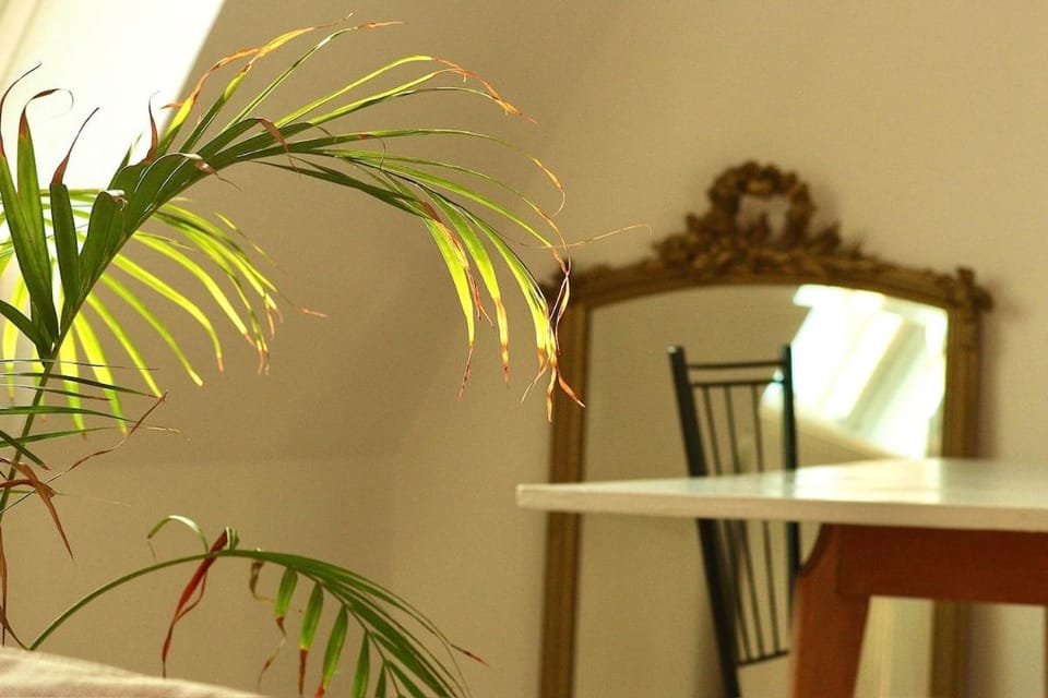 Le Bretteville, Lumineux et cosy Centre Caen Emplacement idéal Apartment in Caen