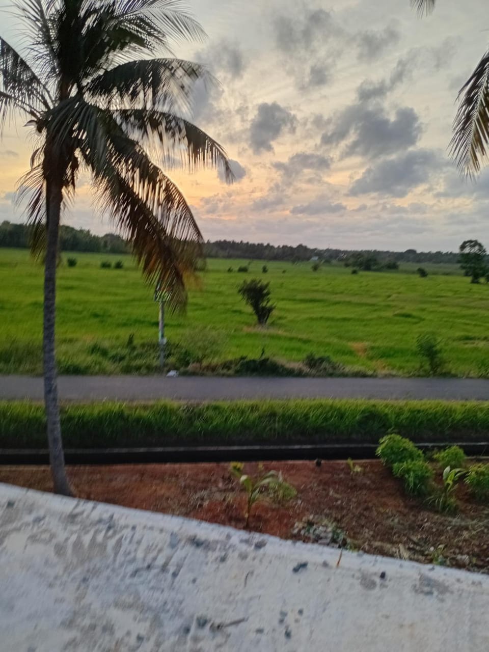 Ceylon Sky Villa Nature lodge in Sri Lanka