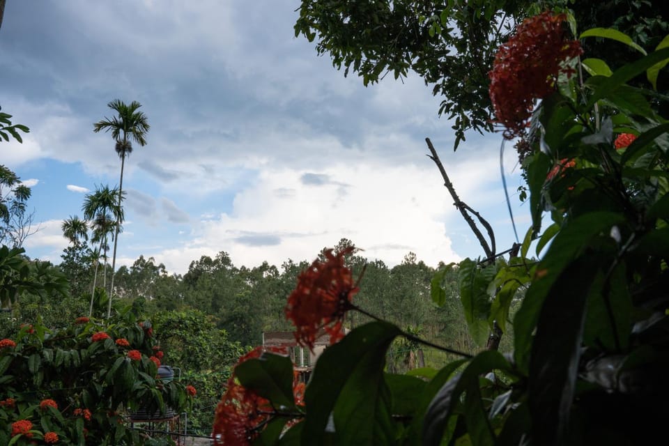 Oliviya Homestay Ella Bed and Breakfast in Ella