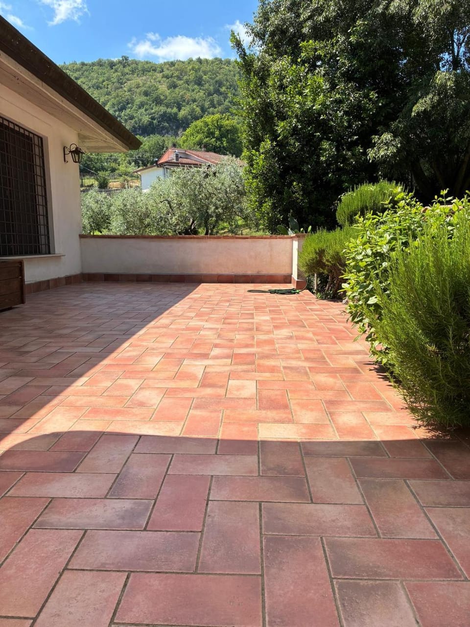 Day, Garden view