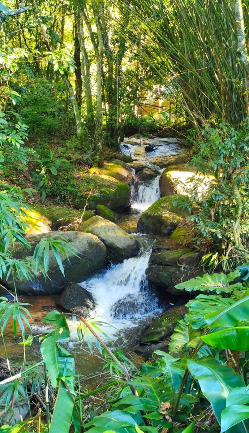 Refúgio na Serra da Cantareira - piscina, jacuzzi e cascatas House in Sao Paulo City