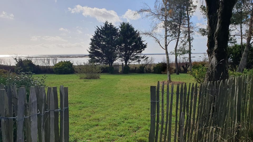 Natural landscape, Garden view, Sea view