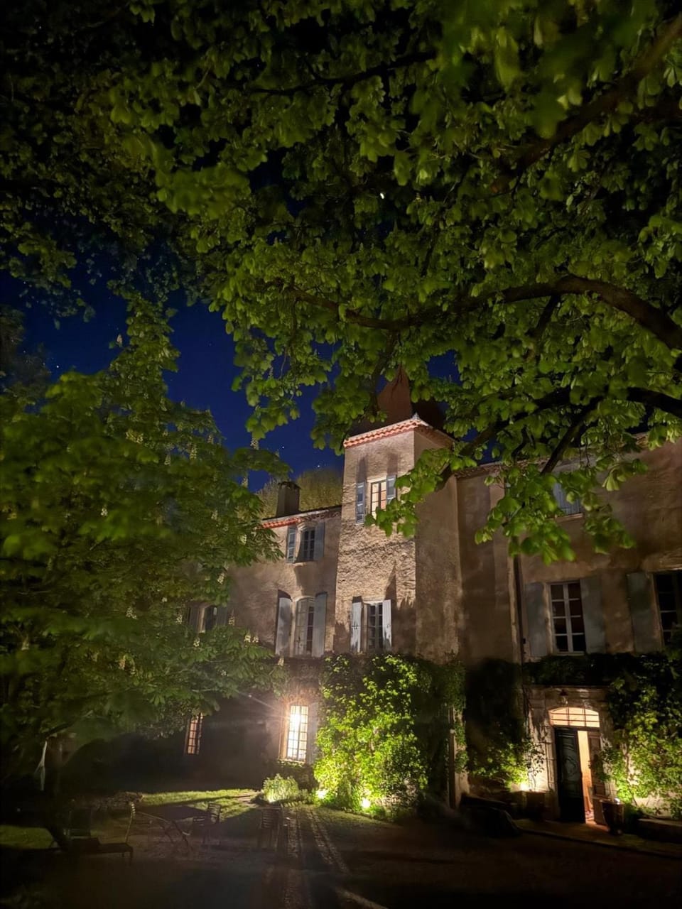 Night, Garden view