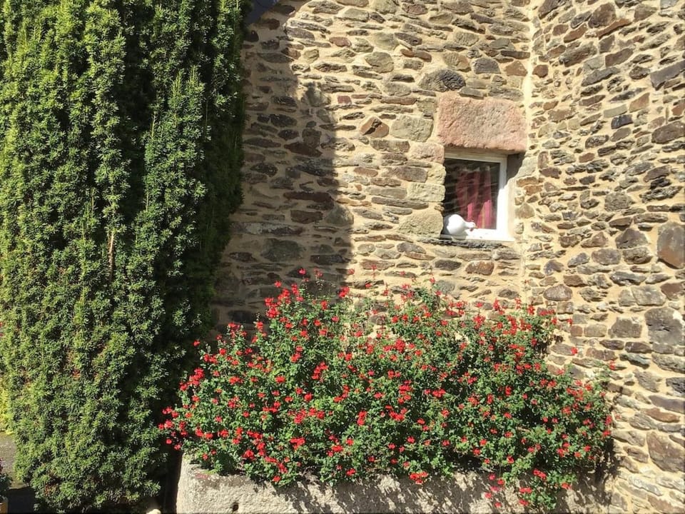 La Petite Perle de Keryvon Apartment in Finistere