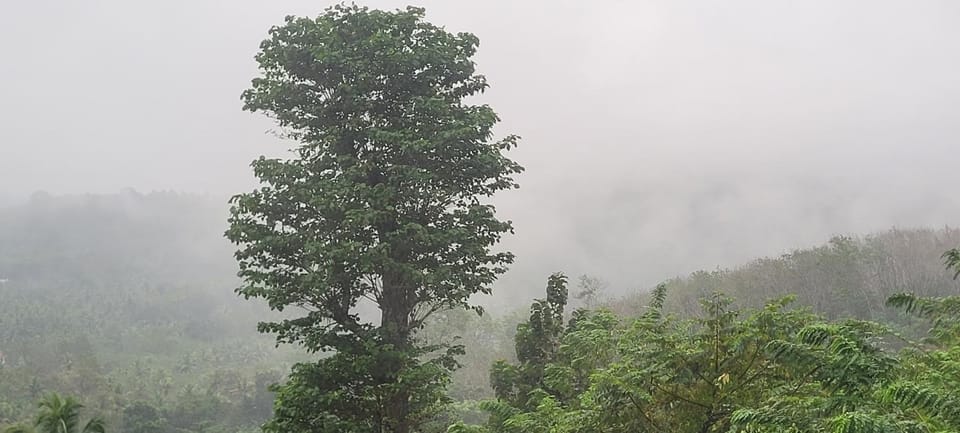 Parudeesa home stay peechi Villa in Kerala