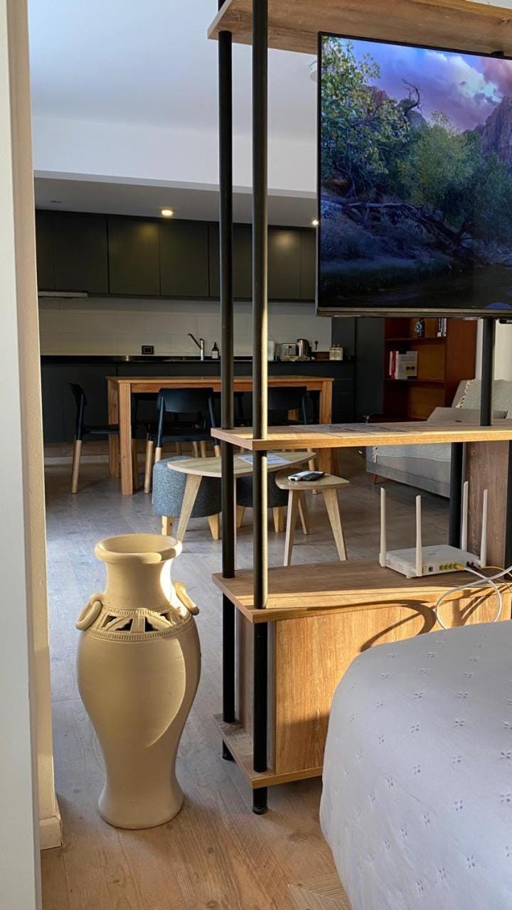 Loft Premium Céntrico Apartment in Cordoba