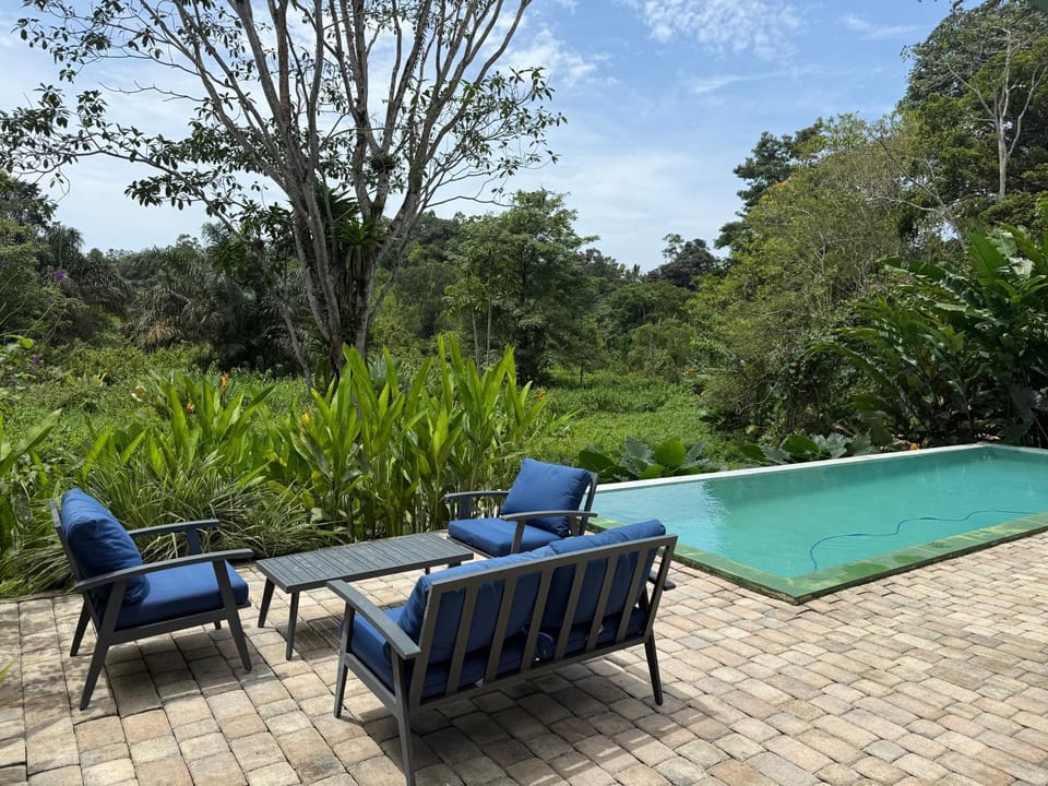 Day, Natural landscape, Garden, Garden view, Pool view, Swimming pool