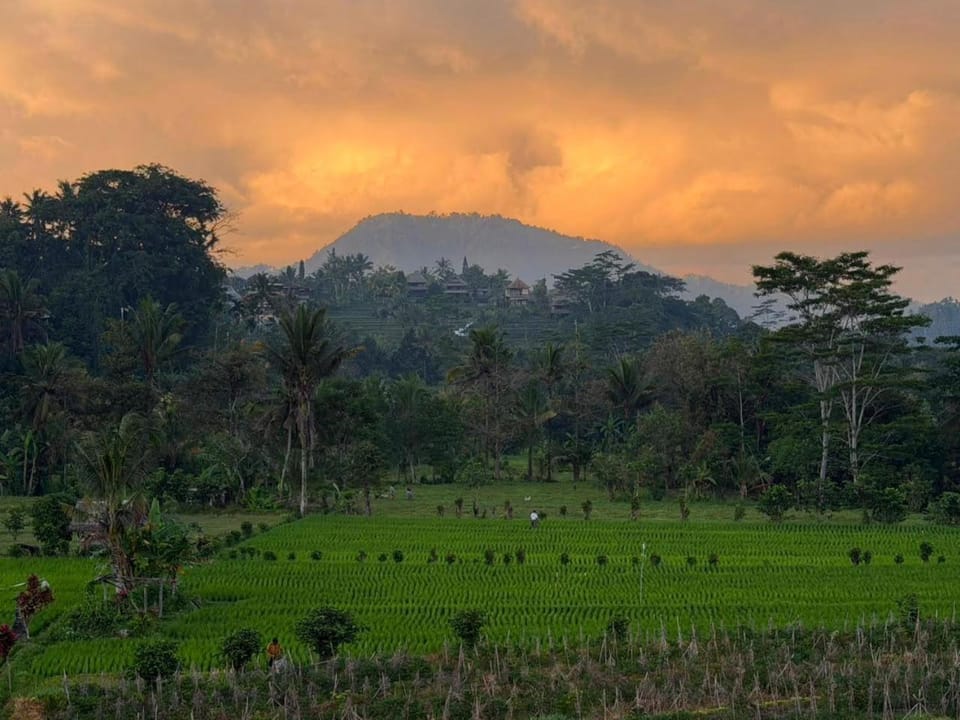 Daripadi Sidemen - Rice Fields & Village Life Vacation rental in Sidemen