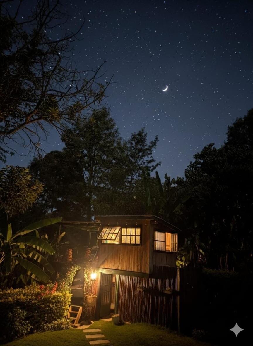 Night