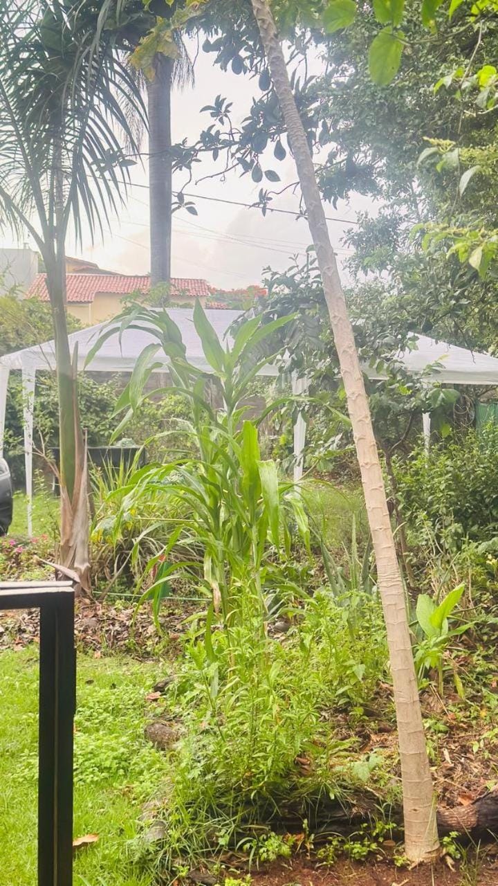 Sitiozinho Pampulha House in Contagem