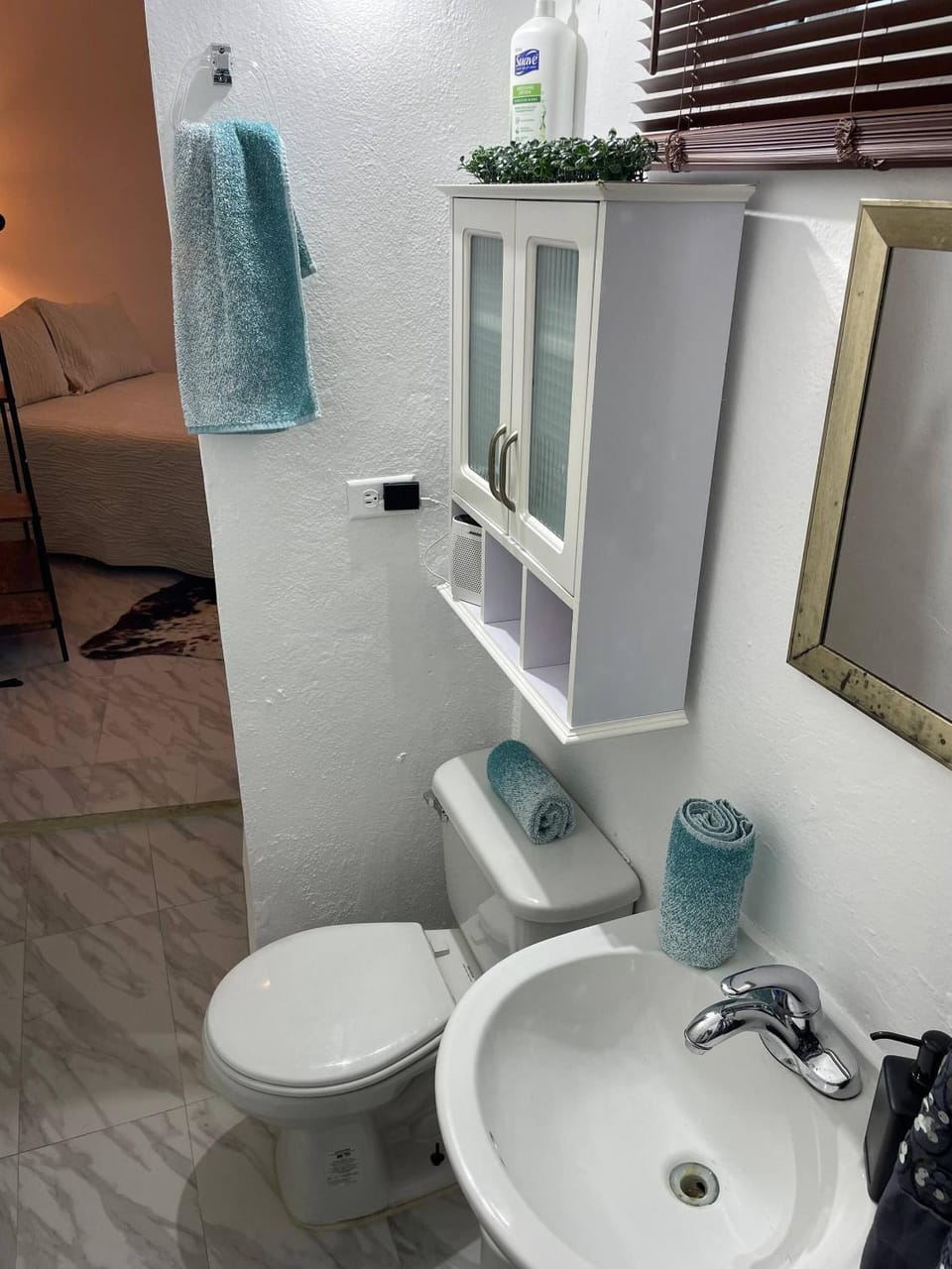 Toilet, Bathroom