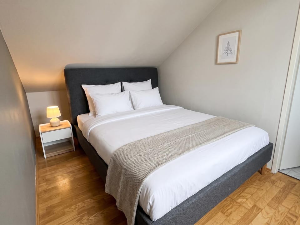 1BR, central, Prater, Schwedenplatz Apartment in Vienna