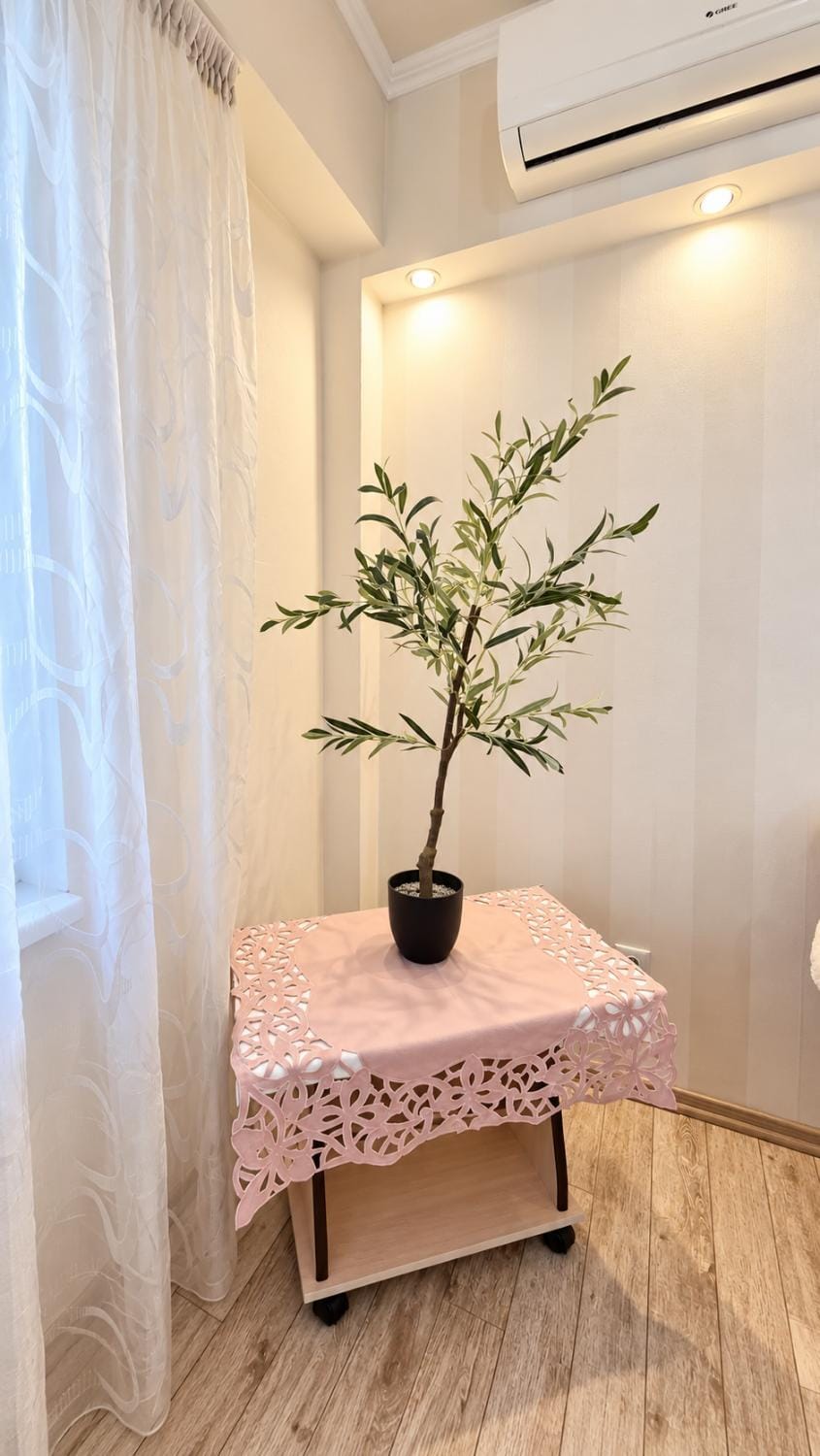 Living room, air conditioner