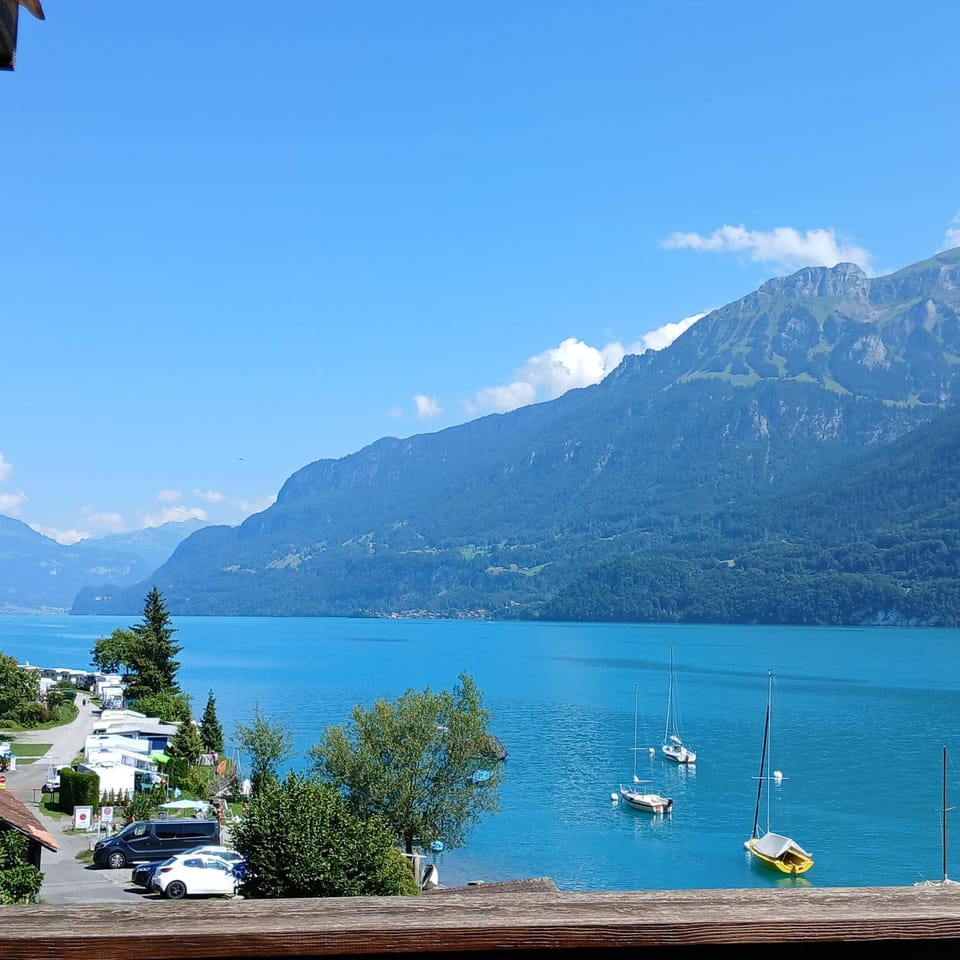 View (from property/room)