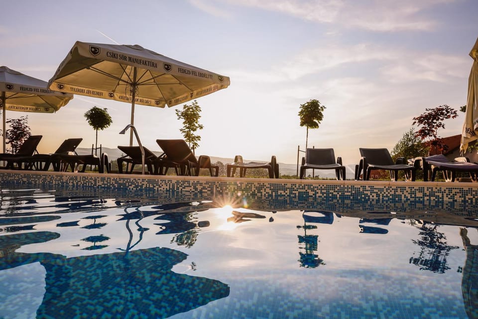 Day, Pool view, Swimming pool, Swimming pool, sunbed