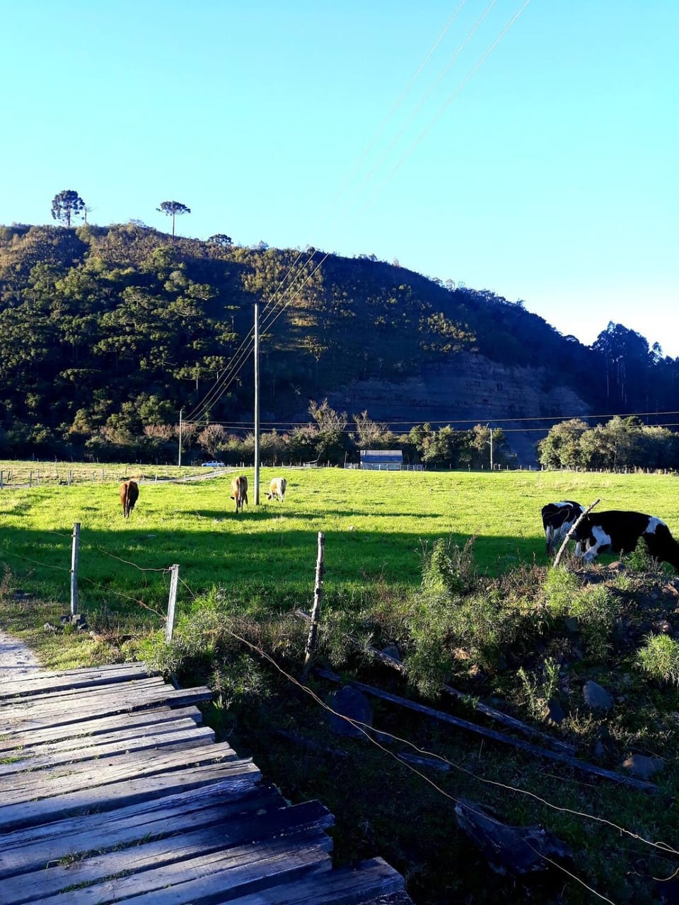 Casa no campo aconchego com a sua família House in State of Santa Catarina