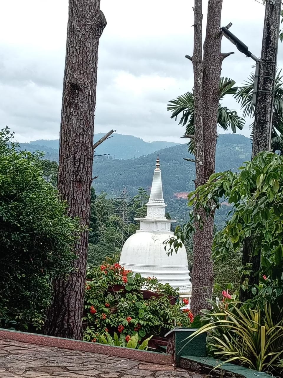 Bupasha nawalapitiya,kandy Hotel in Central Province