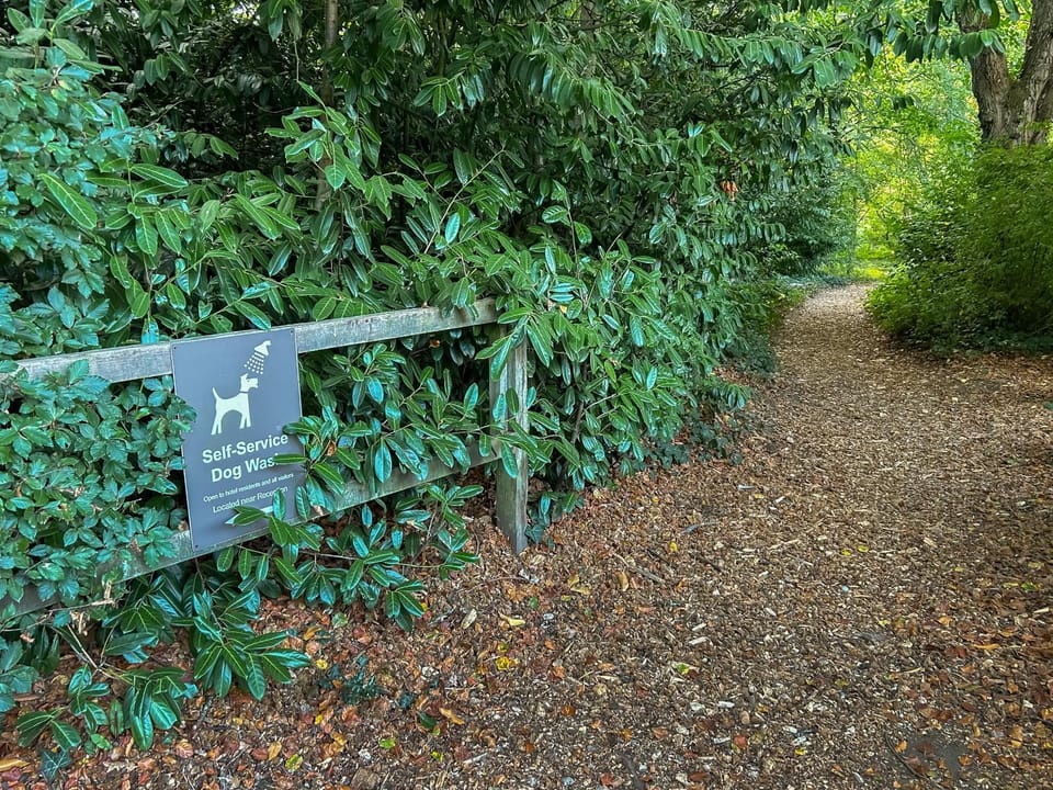 Area and facilities