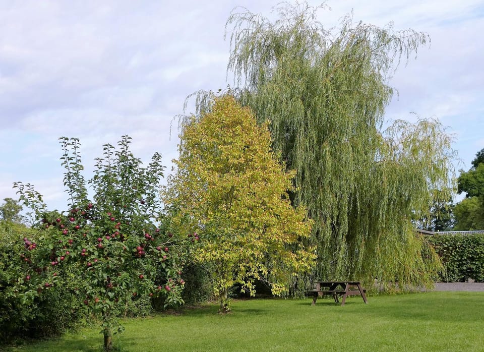 Property building, Garden