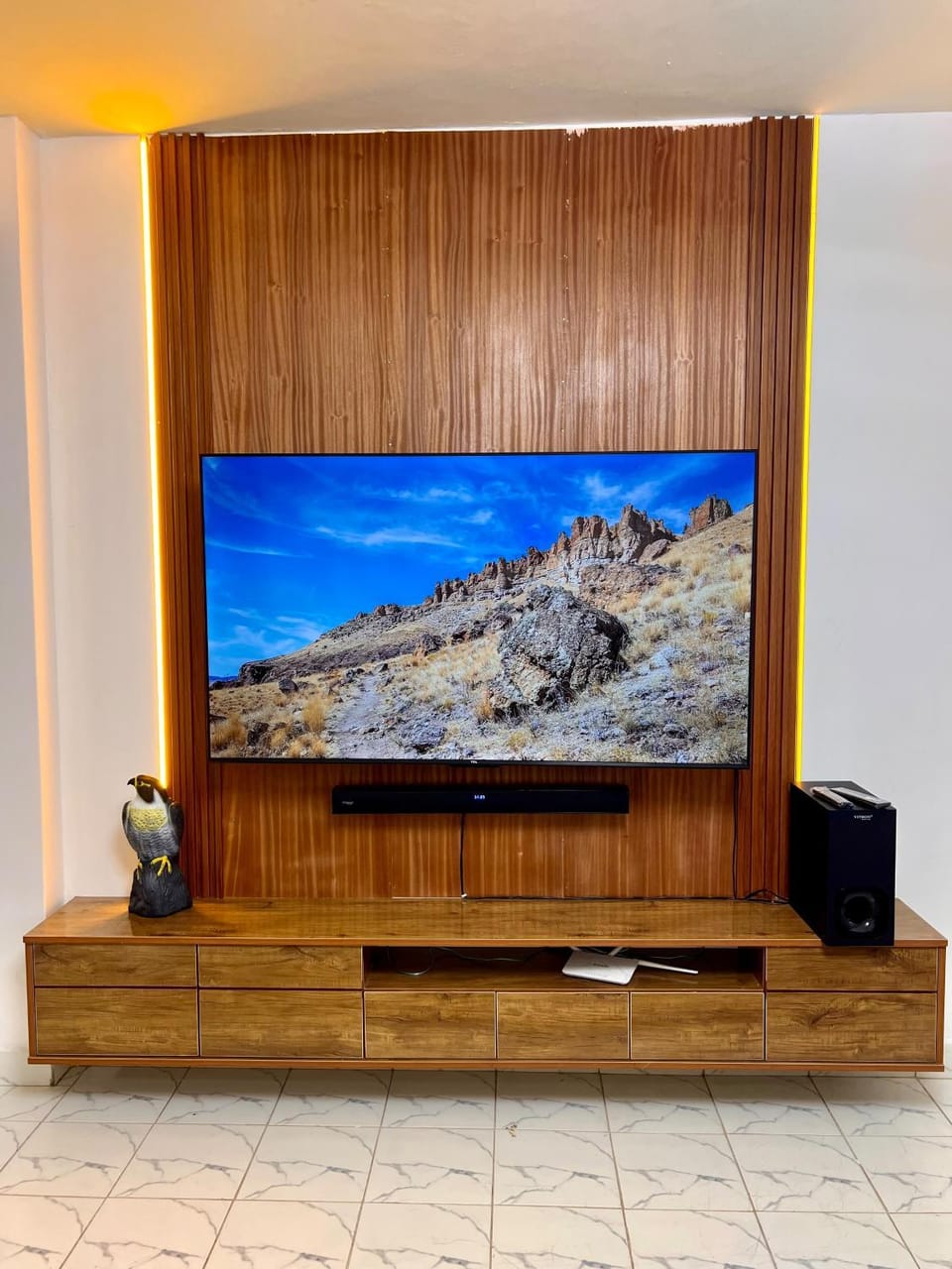 TV and multimedia