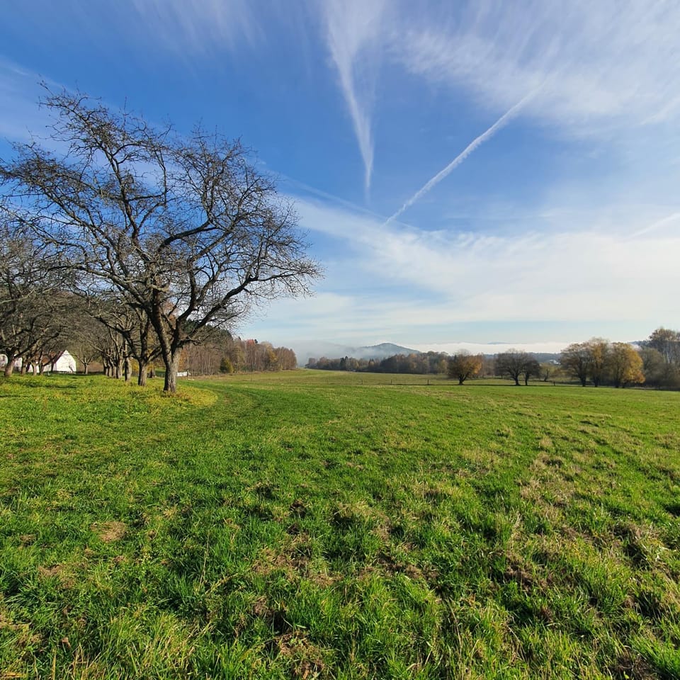 Property building, Natural landscape