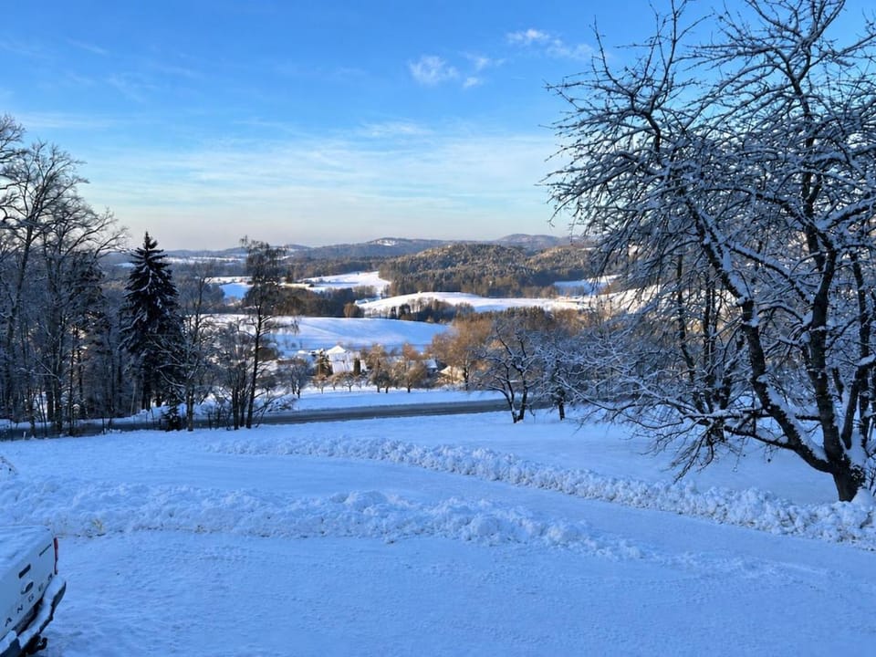 Ferienwohnungen Lemberger Apartment in Bavaria