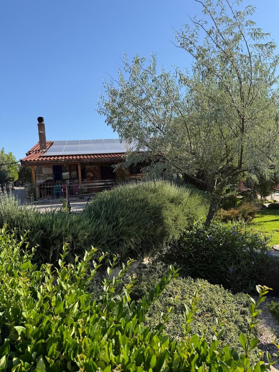 Exclusive Farmhouse with Private Pool-Foca House in İzmir Province