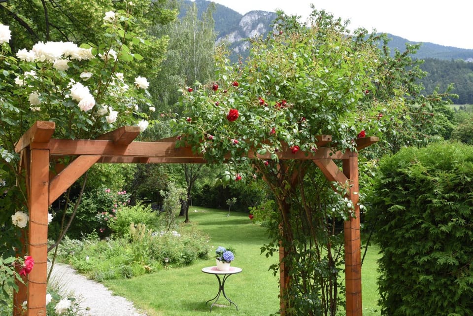 Garden, Garden, Mountain view