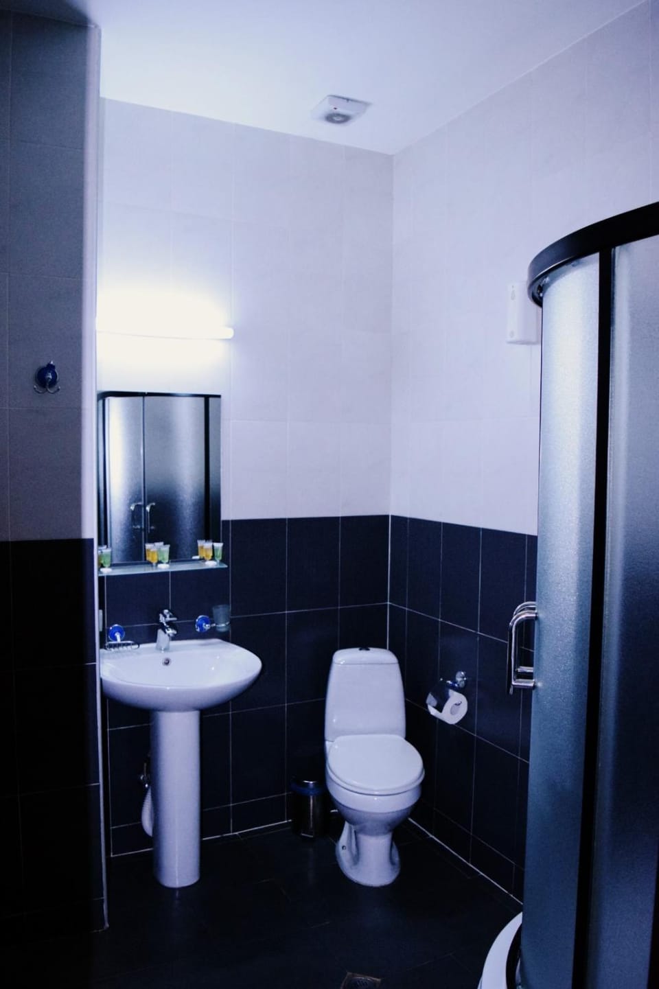 Toilet, Bathroom