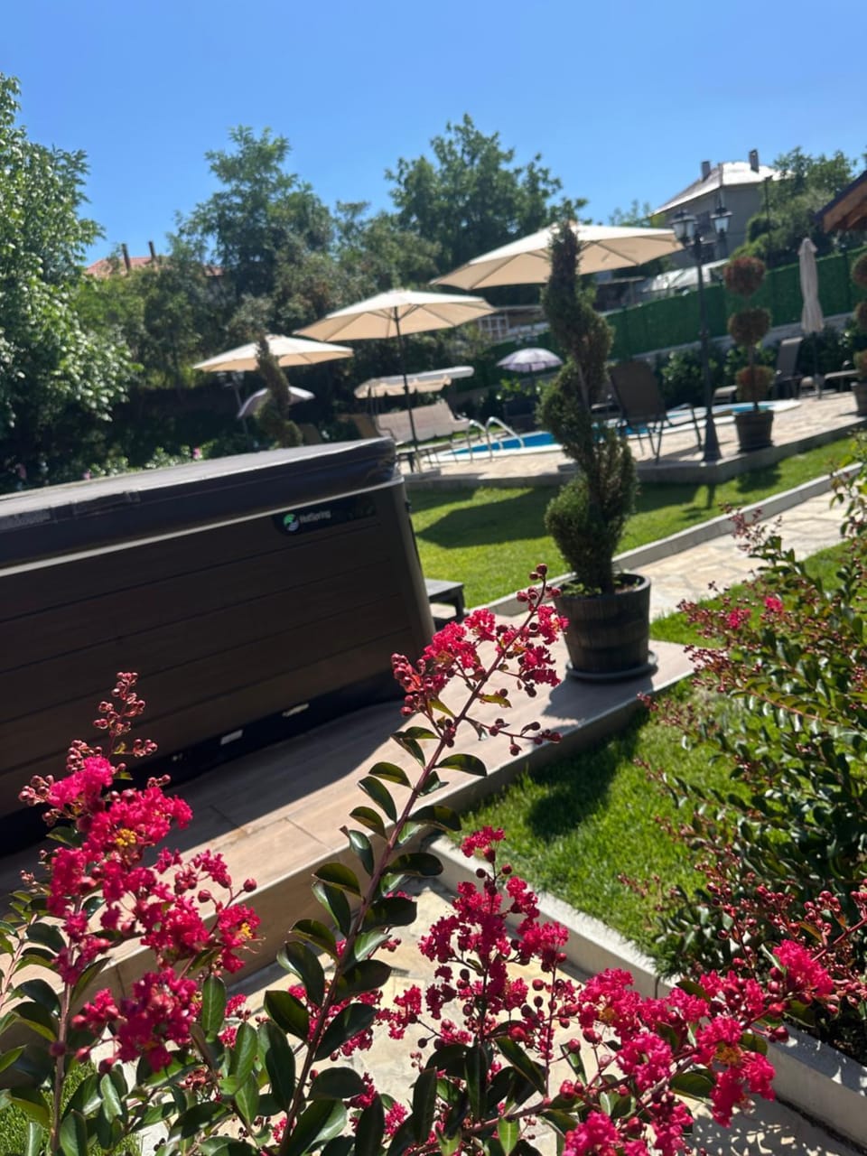 Natural landscape, Garden, Garden