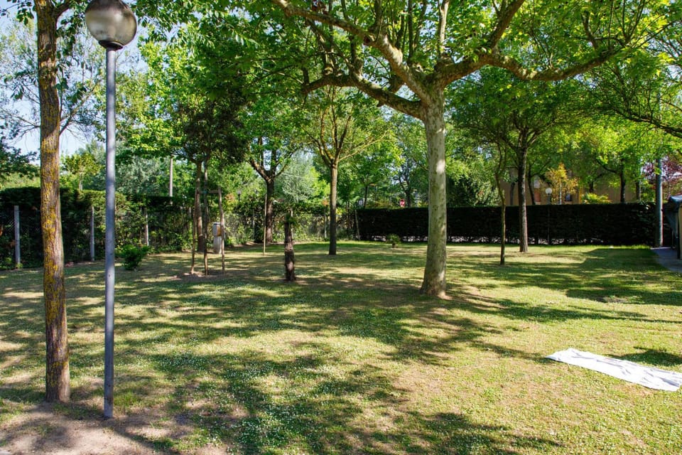 Spring, Day, Natural landscape, Garden, Garden view