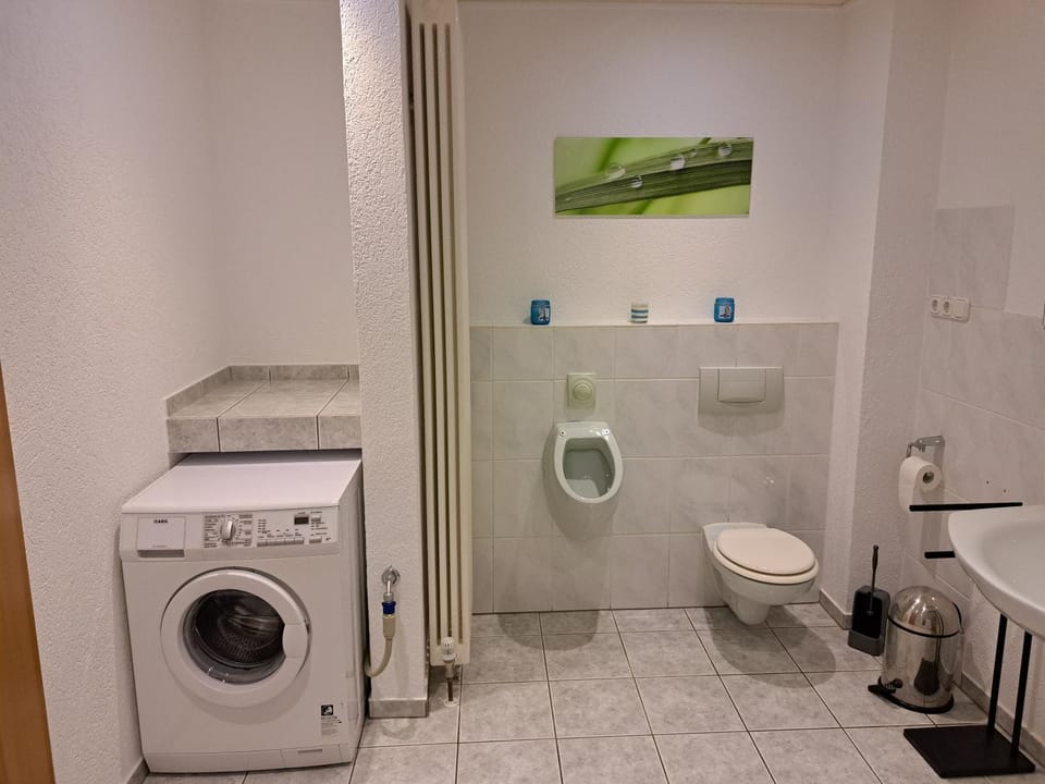 Toilet, Bathroom, washing machine