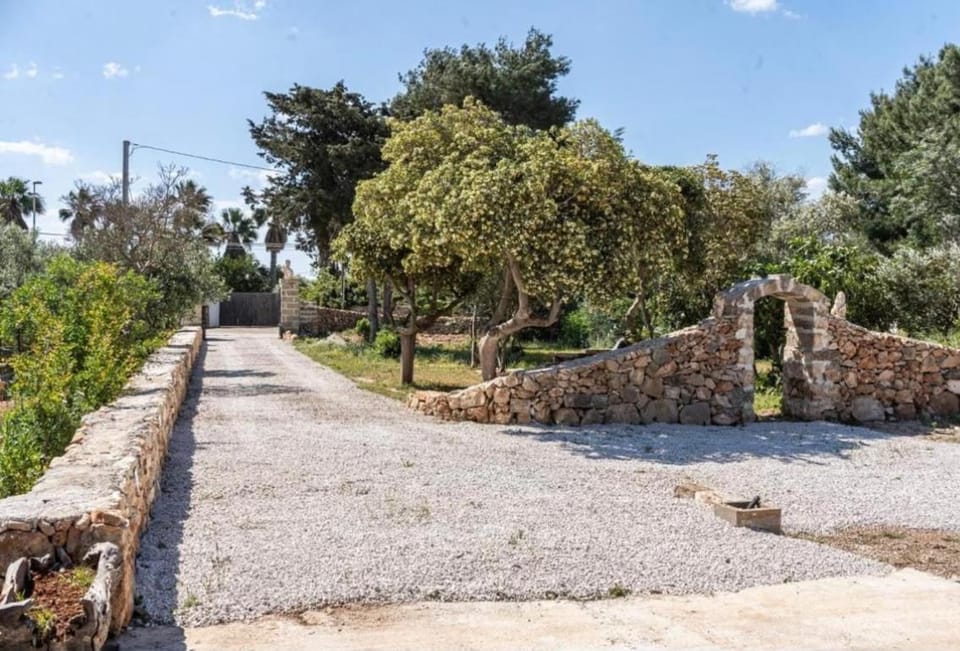 Garden, Garden view