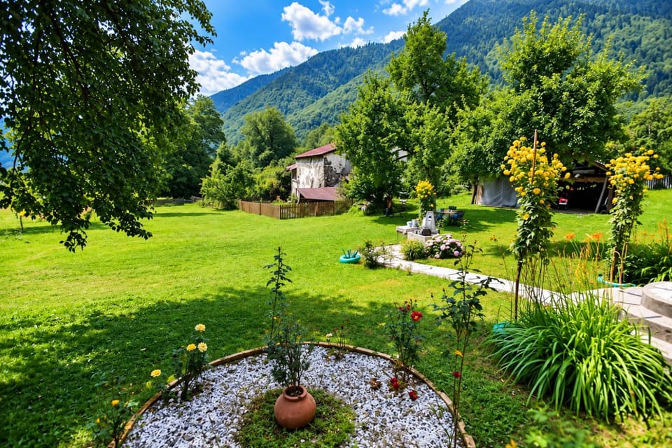 Area and facilities