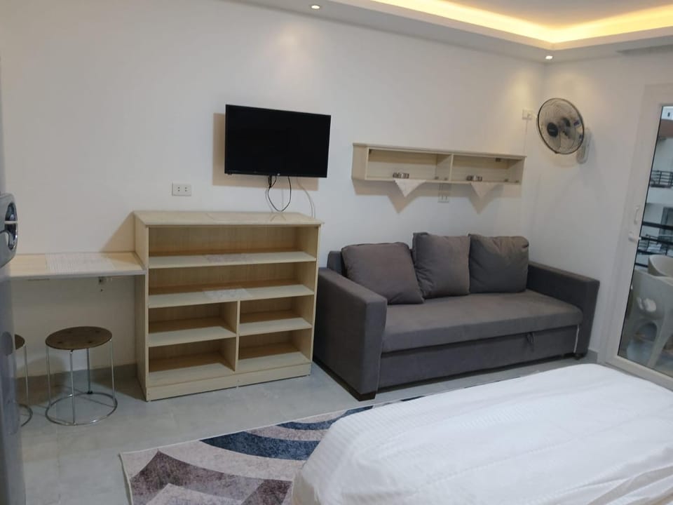 Communal lounge/ TV room, Bed, TV and multimedia, Living room, Photo of the whole room, Seating area, Evening entertainment, Bedroom