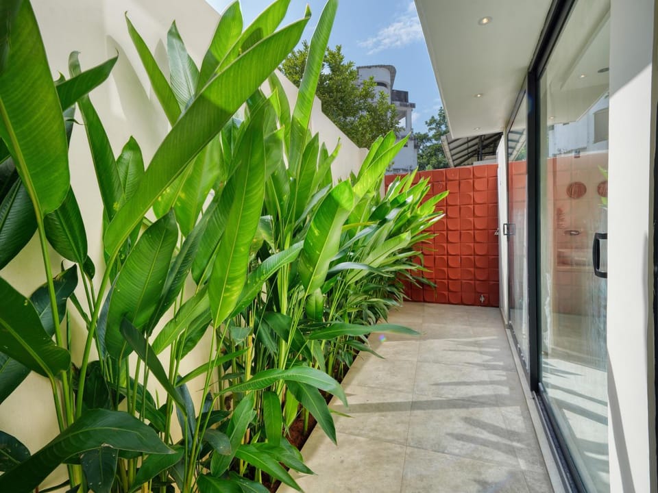 Garden view