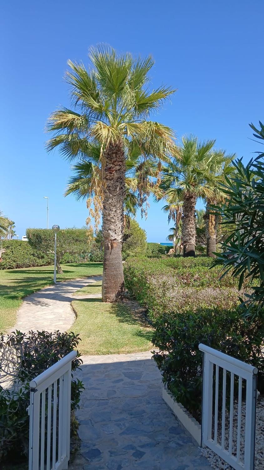 Casa Pentecostës Apartment in Vera