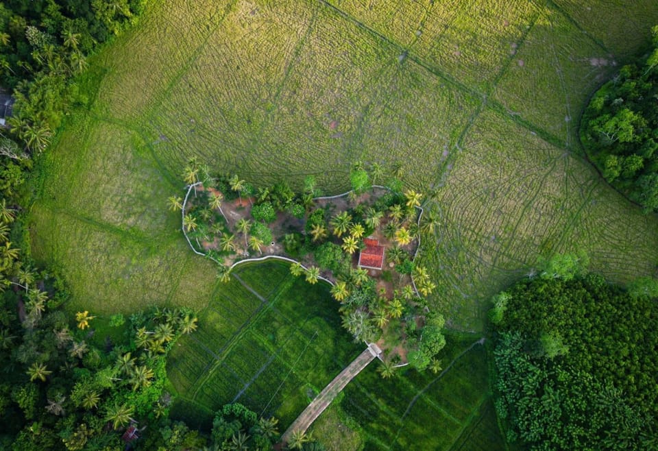 Day, Natural landscape, Bird's eye view, Garden