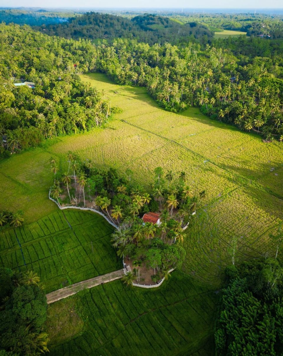 Day, Natural landscape, Bird's eye view