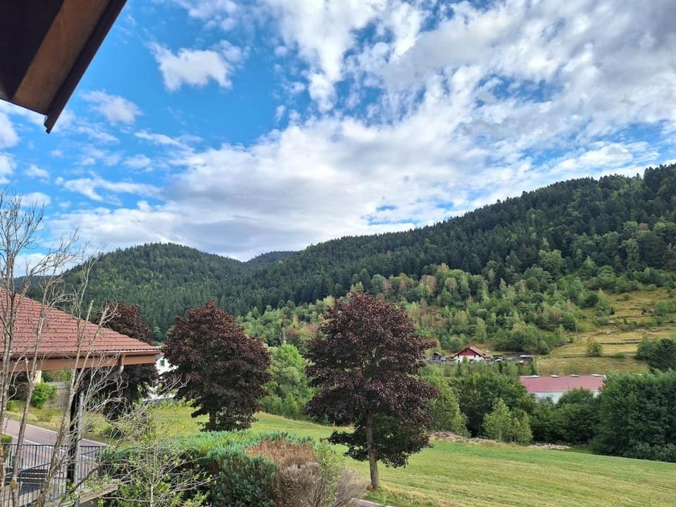 Chalet Les Brimbelles Gite Le Chamois Apartment in La Bresse