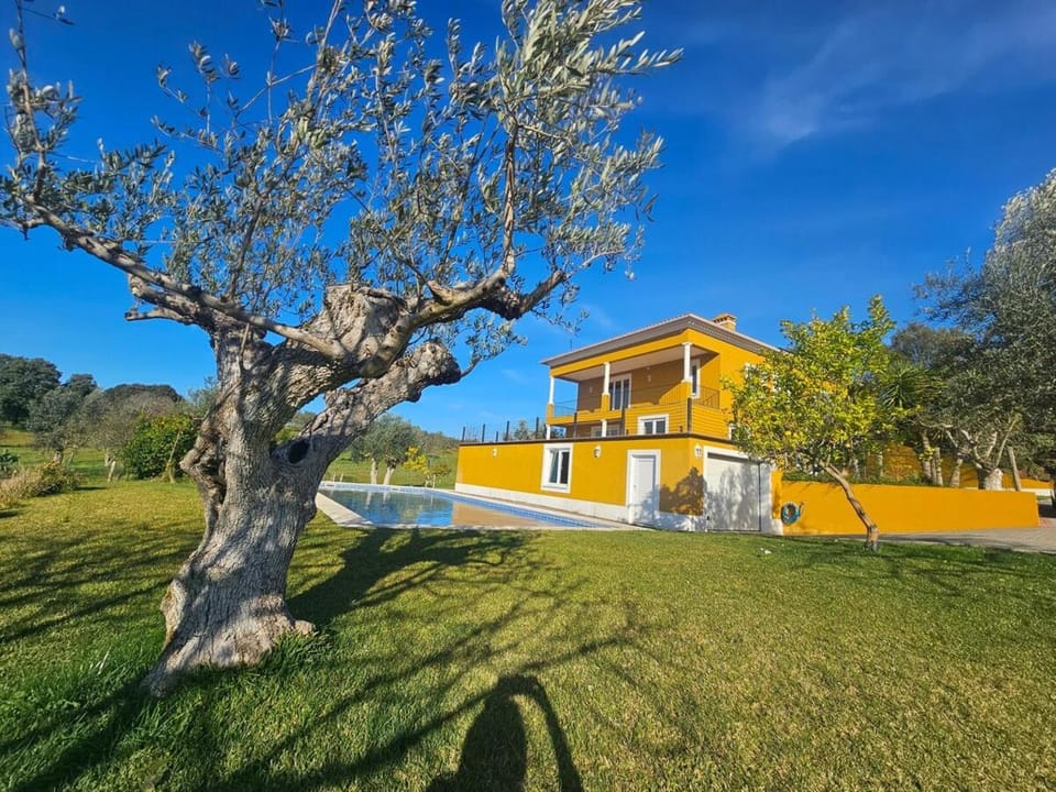 Property building, Spring, Day, Natural landscape, Garden, Garden view