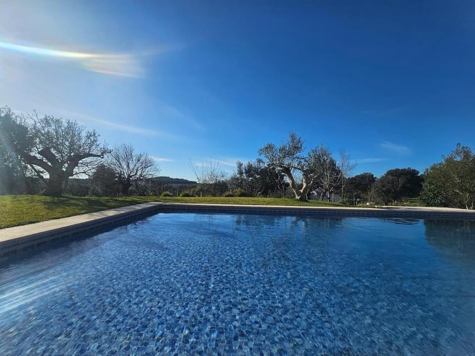 Day, Pool view, Swimming pool