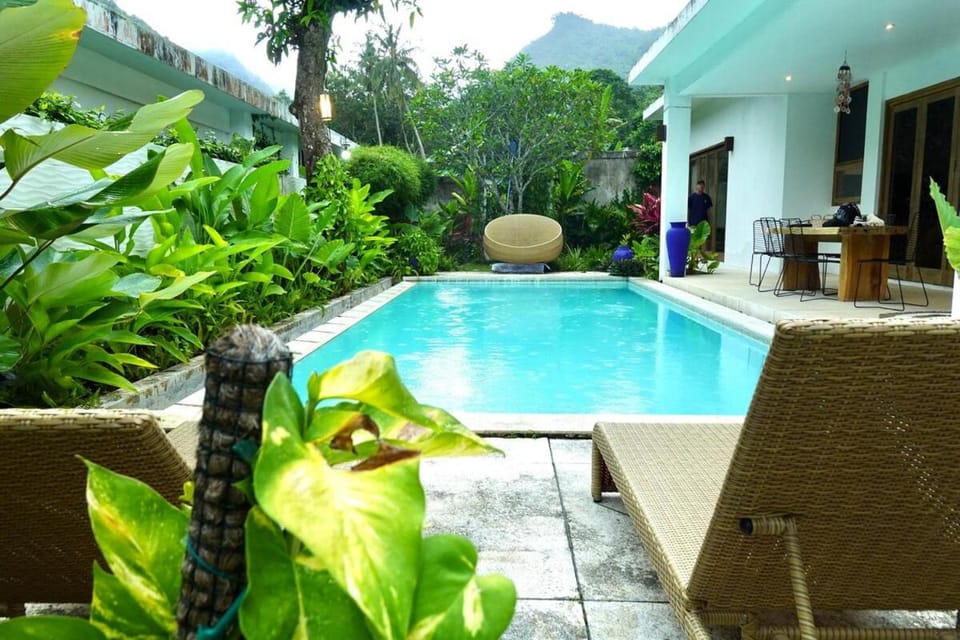 Garden, Garden view, Pool view, sunbed