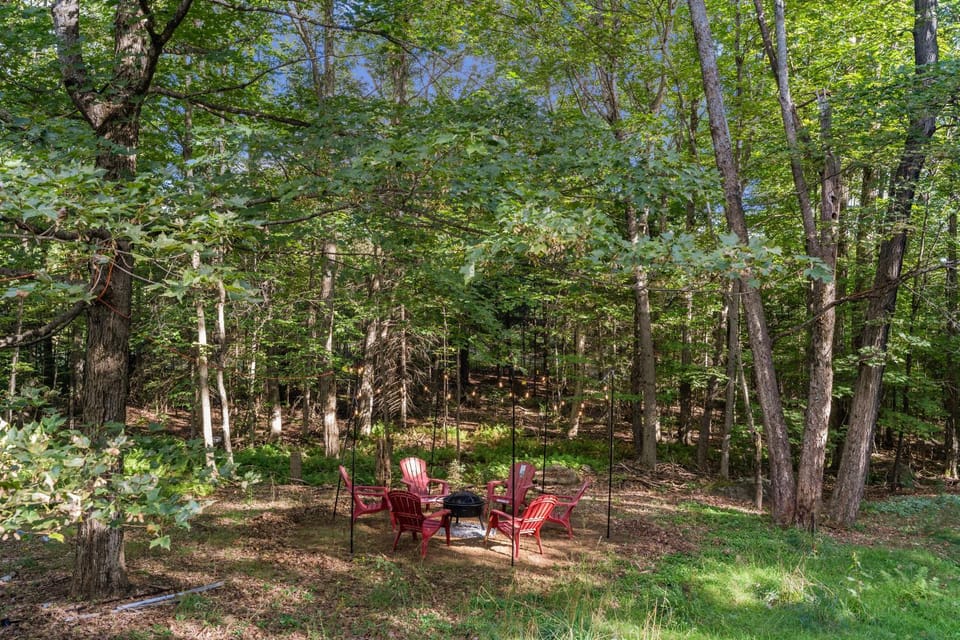 Spring, Day, Natural landscape, Garden, Garden view